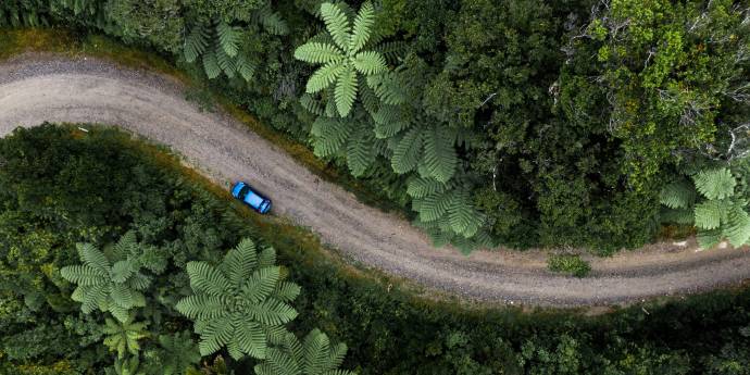 An aerial view of a road winding through native forest