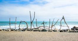 Focusing his energy on the community