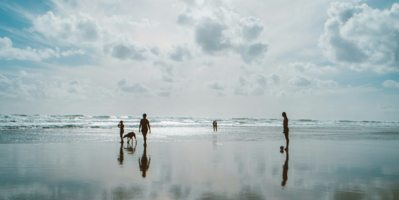 backlit people on a beach