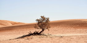Building resilience in the face of uncertainty