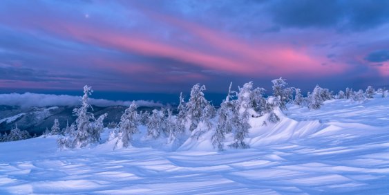 Business at risk: How does your company stack up against “1.5 degrees for nature?”