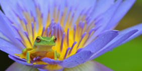 Climate governance conversation must advance