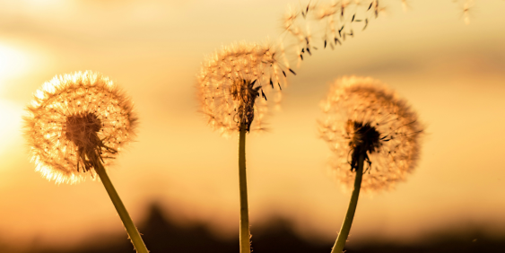 Data-driven decisions: Governance outtakes