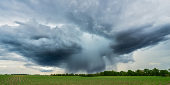 dark cloud over field