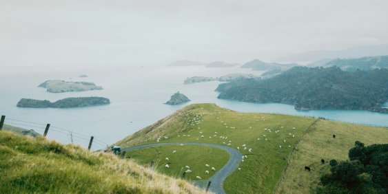 coastal farm