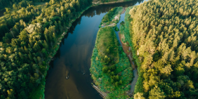 IMHO: Nature as shareholder: Reimagining governance in a time of change