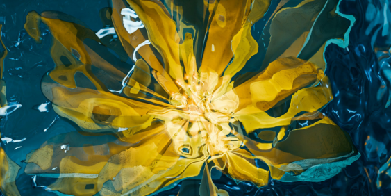 IMHO: “We can’t work at pace if trust is broken”