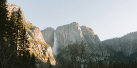 Lyttelton Port: Putting nature first