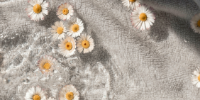 Rebuilding resilience: Canterbury Linen Services turns crisis into climate leadership