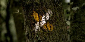 Rod Carr marks final days at Climate Change Commission