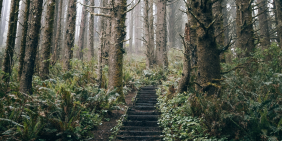 Step up, speak out: What consumers want from boards on climate and sustainability