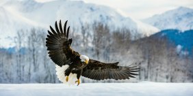 The real business risk is ignoring sustainability