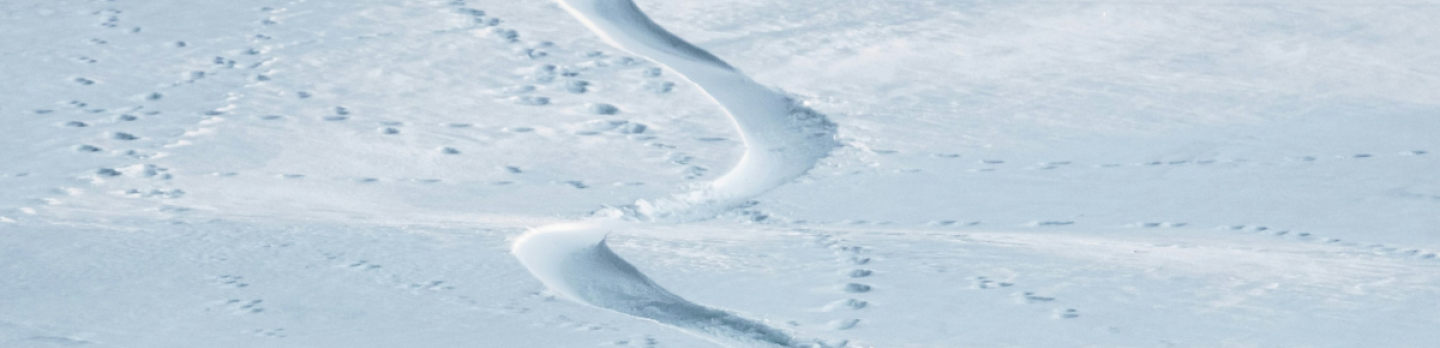 A snowy landscape featuring a trail of footprints leading through the white terrain.