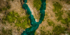 Why climate planning beats disclosure compliance