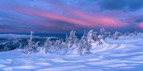 Business at risk: How does your company stack up against “1.5 degrees for nature?”