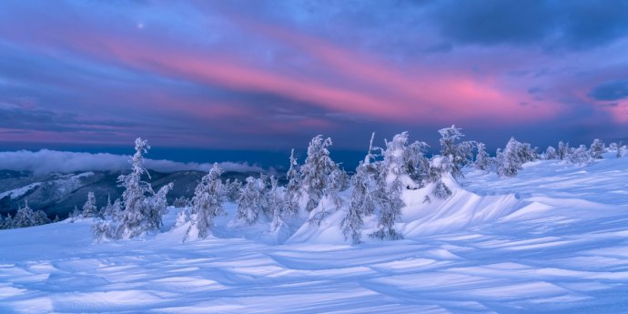 Business at risk: How does your company stack up against “1.5 degrees for nature?”