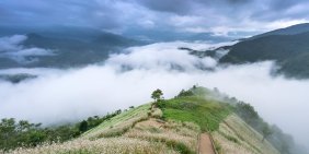 Director lens on climate risk and opportunity