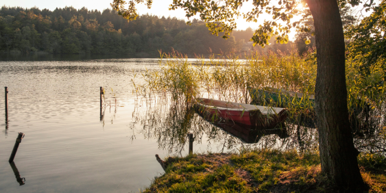 boat on riverside