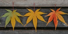 From awareness to influence: governing climate and nature risk