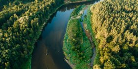 IMHO: Nature as shareholder: Reimagining governance in a time of change