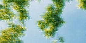 IMHO: The climate transition is inevitable – and directors play a key role in ambition, accountability and transparency