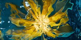 IMHO: “We can’t work at pace if trust is broken”