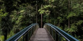 KPMG says sustainability viewed as a board responsibility