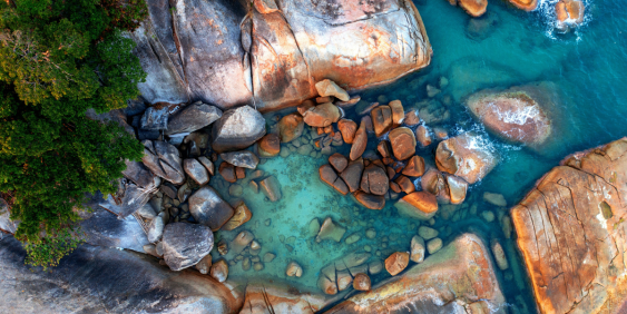 rockpool