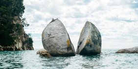 Rise in disclosure of climate-related risk