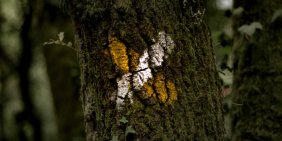 Rod Carr marks final days at Climate Change Commission