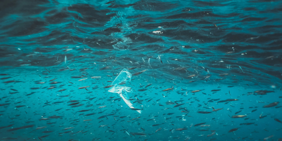 Plastic in the ocean