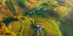 The changing landscape of climate regulation and litigation