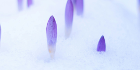 The power of putting a dollar value on climate risk