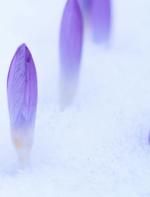 The power of putting a dollar value on climate risk