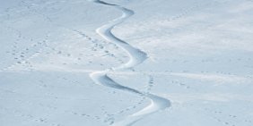 When nature becomes real in the boardroom