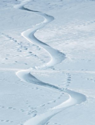 When nature becomes real in the boardroom