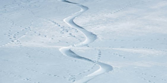 When nature becomes real in the boardroom