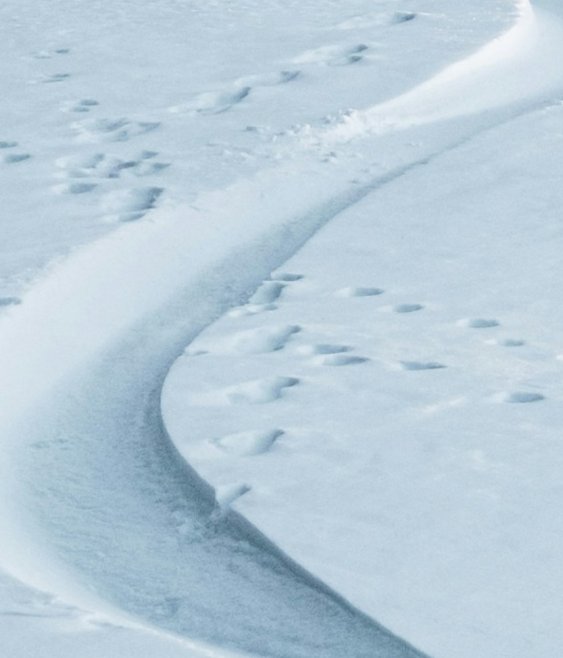 When nature becomes real in the boardroom