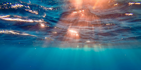  Sunlight filters through the water in this serene underwater photograph, creating a beautiful play of light and shadows.