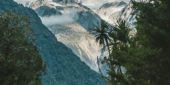 View of hillside through trees