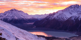   Reflecting on impact: Chapter Zero New Zealand 2024