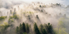 Director lens on reducing emissions