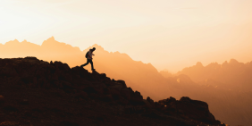 Directors lens on the transport sector