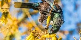 Directors Lens on consumer sustainability insights