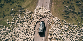 Directors lens on COP27