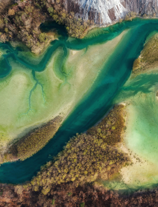 Principles for climate and nature governance