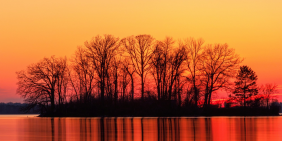 Responding to nature-related risk in the boardroom