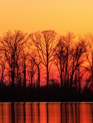 Responding to nature-related risk in the boardroom