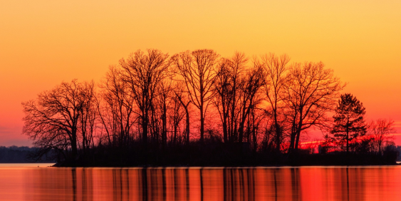 Responding to nature-related risk in the boardroom