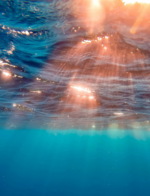 New Zealand’s climate reporting regime: key updates for directors